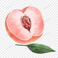 91香蕉视频APP